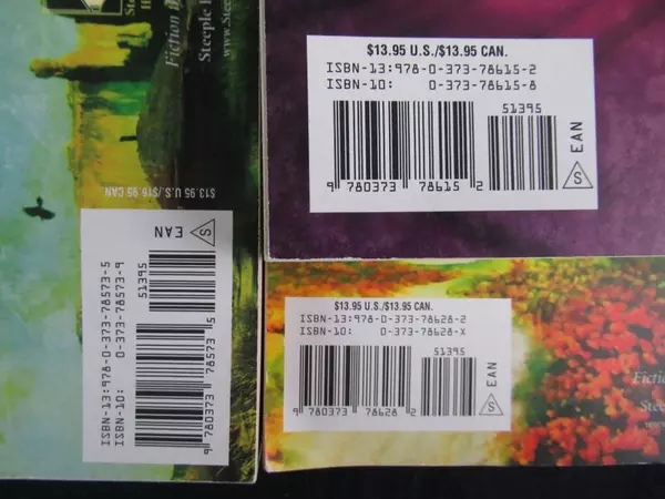 Lot of 3 Steeple Hill Christy Award Winning PB Books - Fly Away Home & More