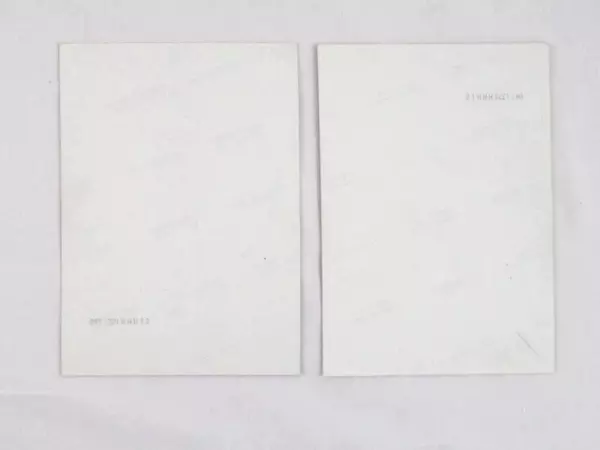 Lot of 2 Vintage Jim Warren Surrealism Art Photos 1980s Good Condition