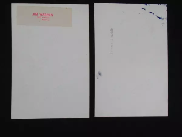 Lot of 2 Vintage Jim Warren Surreal Photos - 80s Blue Monkey Art