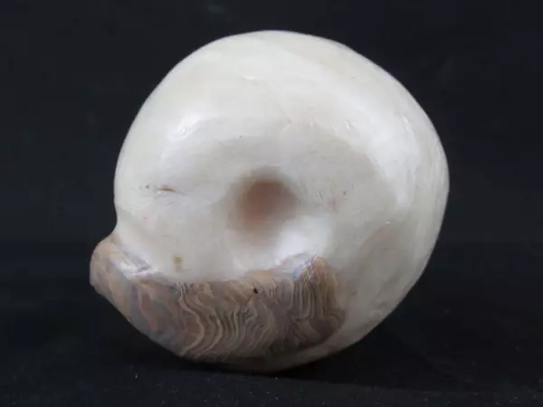 Siamese Cat Wax Candle 5.75" Beige Brown Blue Eyes Collectible Figure