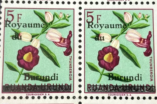 Lot of 34 MNH Burundi Stamps: Zebras & Thunbergia Flowers 1970s