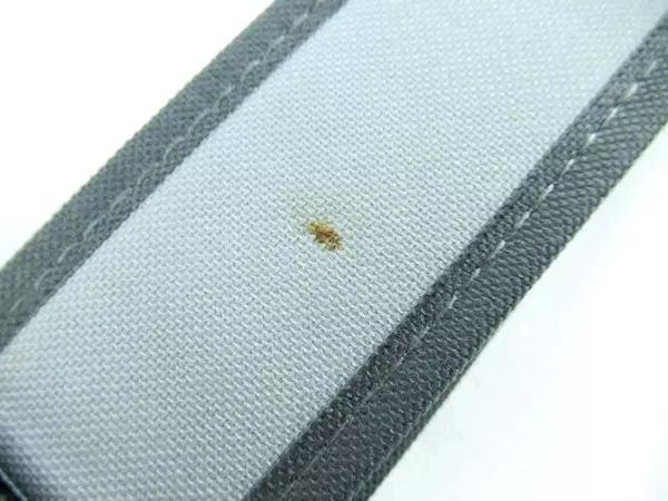 Lot of 2 Gray Canvas Closet Organizers with Straps & Pockets - Pre-owned