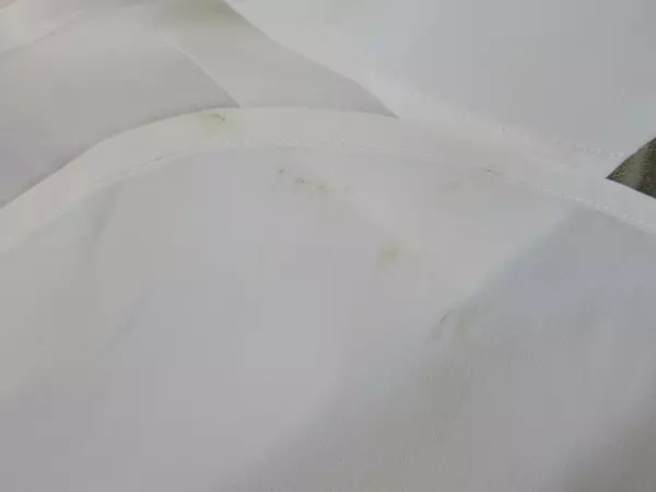 89th & Madison Women's Small Beige White Short Sleeve Sweater Top NWT