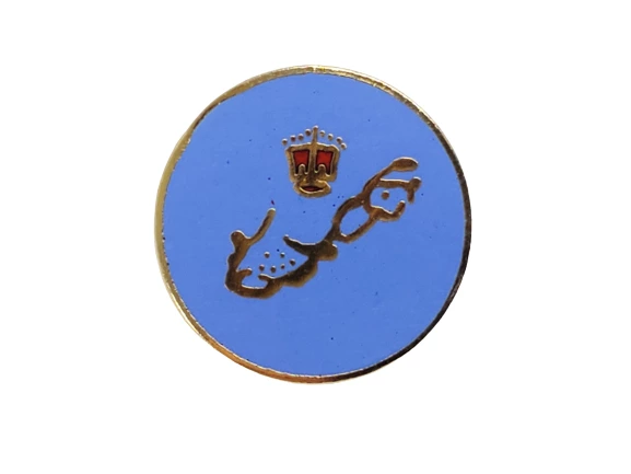 Vintage Gold Tone Family Crest Pin with Periwinkle Blue Background 0.5"