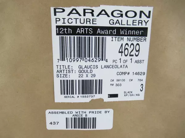 Framed Gould Hummingbirds Art Print Glaucis Lanceolata 22 x 29 inch Paragon