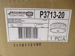 Progress Lighting Inspire Collection 2 Light Flush Mount Light Fixture Scratched