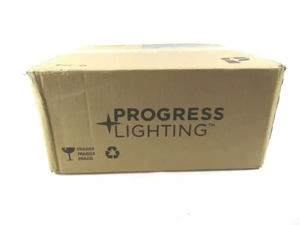 Progress Lighting Inspire Collection 2 Light Flush Mount Light Fixture Scratched