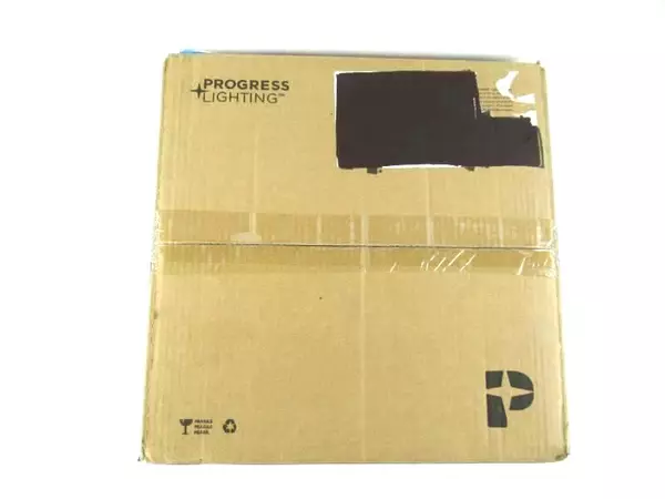 Progress Lighting Inspire Collection 2 Light Flush Mount Light Fixture Scratched