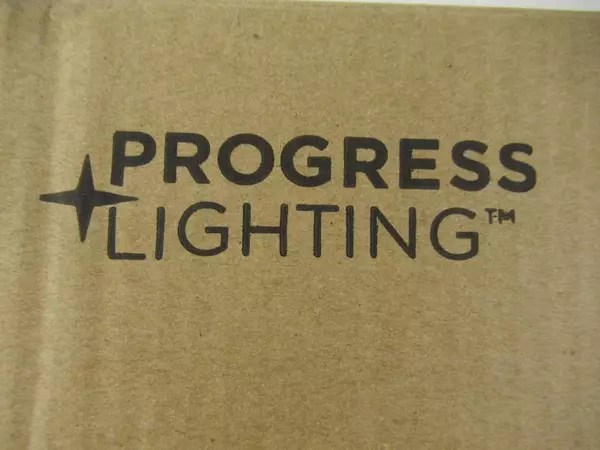Progress Lighting Inspire Collection 2 Light Flush Mount Light Fixture Scratched