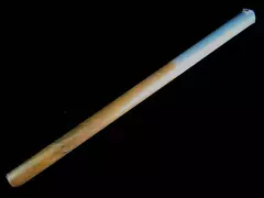 Vintage 1992 Impact American Bison Poster #11251 Sealed Art Decor El Dorado CA