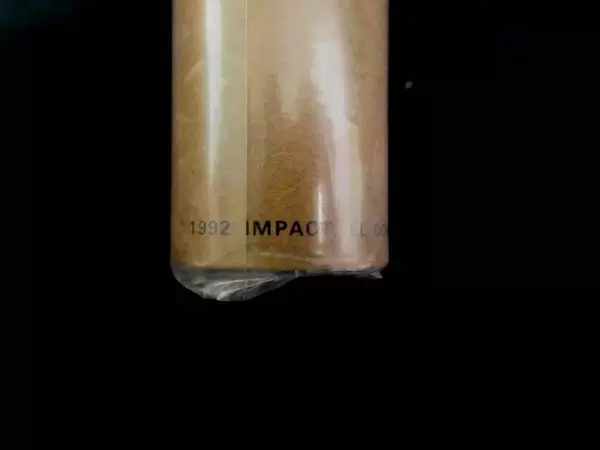 Vintage 1992 Impact American Bison Poster #11251 Sealed Art Decor El Dorado CA