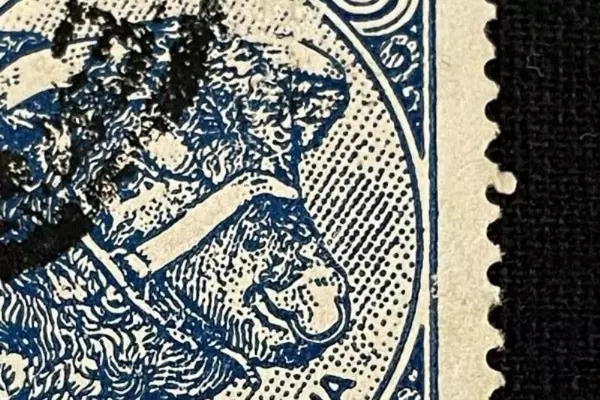 1951 Argentina 20 Centavos Ganaderia Cattle Stamp VF Used for Collectors