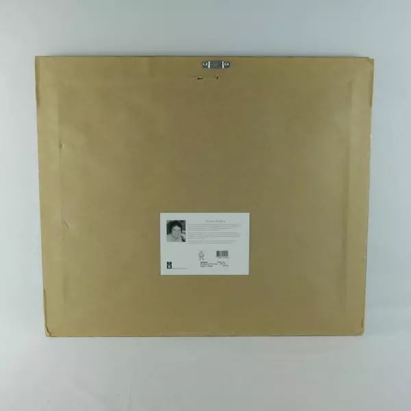 Gloria Erikson Architectural Primrose Framed Art Print 23x26 Art In Motion