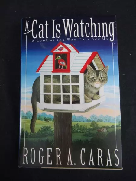 Vintage A Cat Is Watching by Roger A. Caras HC DJ Simon & Schuster 1989