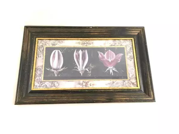 Fabrice de Villeneuve Awakening Campanula Framed Art Print 13.75x22in