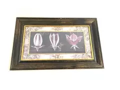 Fabrice de Villeneuve Awakening Campanula Framed Art Print 13.75x22in