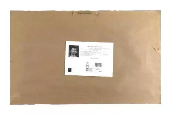 Fabrice de Villeneuve Awakening Campanula Framed Art Print 13.75x22in