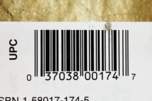 The Handmade Paper Book by Angela Ramsay, Hardcover, Dust Jacket, 1999