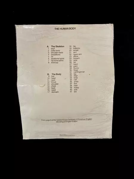 Vintage 1978 Oxford University Press Human Body Laminated Poster Good Condition