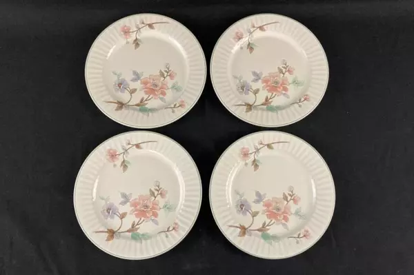 Set of 4 Nikko Fantasy Perception Stoneware Dinner Plates Beige Floral Decorated