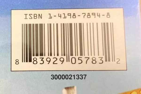 The Hangover DVD 2009 Warner Bros Rated R Zach Galifianakis Pre-Owned Good