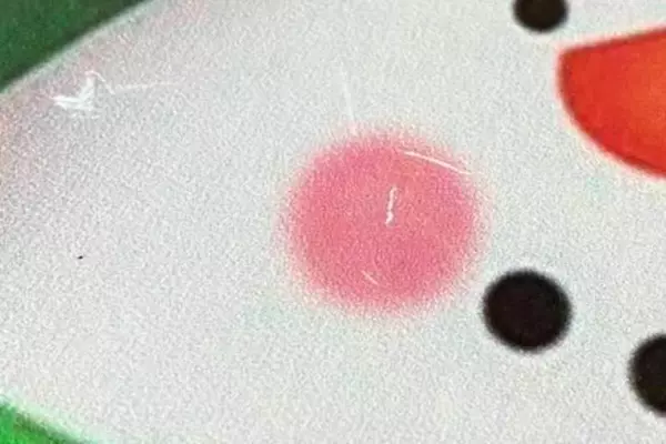 Ho Ho Ho Santa Christmas Mailbox Cover Holiday Decor - Good Condition