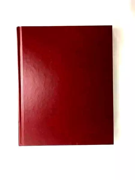 Secret Food Cures by Joan & Lydia Wilen 2012 - Natural Health Remedies