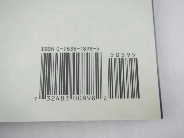 The Tiger Rising by Kate DiCamillo 2001 Paperback - Good Condition