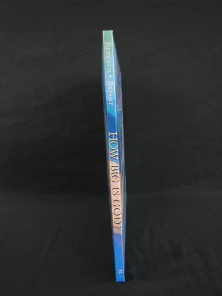 How Big Is God? Hardcover Book by Lisa Tawn Bergren, 2008 Edition