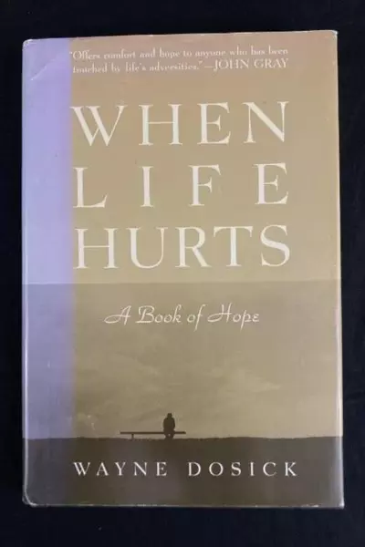 When Life Hurts by Wayne Dosick 1998 Hardcover Book - Good Condition