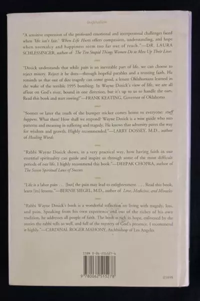 When Life Hurts by Wayne Dosick 1998 Hardcover Book - Good Condition