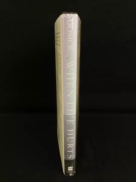 When Life Hurts by Wayne Dosick 1998 Hardcover Book - Good Condition