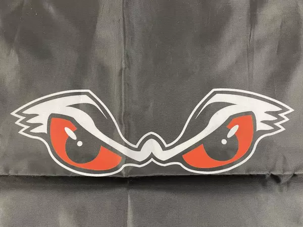 Portland Winterhawks Drawstring Tote Bag 16.5"x13.5" - Reusable Backpack