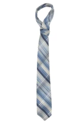 Vintage Golden Clasp Prince Consort Blue White Plaid Tie 62.5" Length