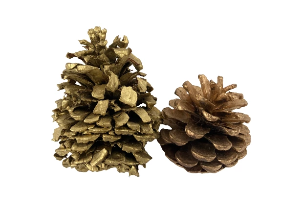 Lot of 6 Gold Metallic Painted Pine Cones for Crafts & Holiday Decor