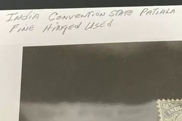 Used India Patiala Convention State 3 Pies Fine Hinged Stamp for Collectors