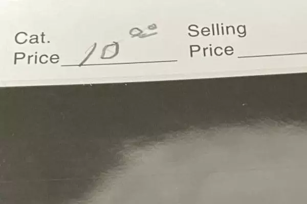 Used India Patiala Convention State 3 Pies Fine Hinged Stamp for Collectors