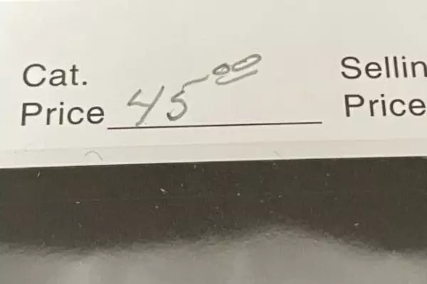 1922 Japan Mt Fuji Sika Deer Postage Stamp - Fair Used Condition