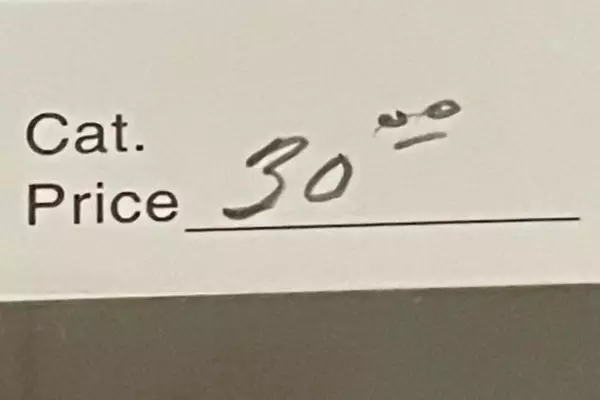 1874 Used Italian Postage Stamp Poste Italiane Fine Condition Red & White