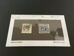Lot of 2 Used Austria Newspaper Postage Stamps Hinged 1867-1908 with Tear