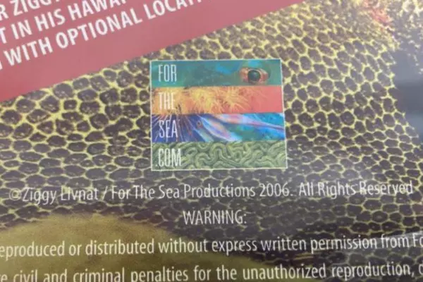 Hawaiian Blue The Encounters DVD by Ziggy Livnat Sealed for Sea Productions