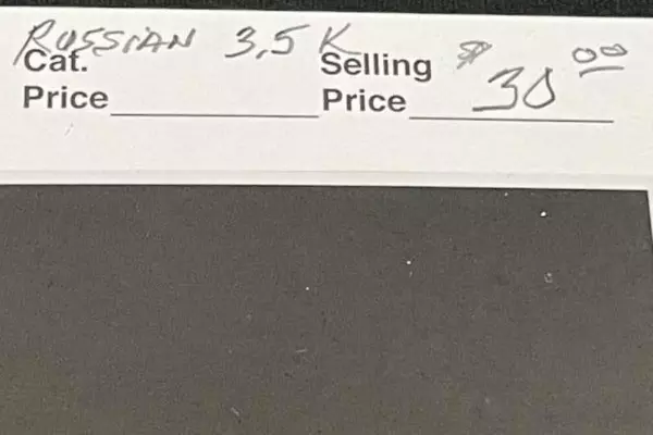 1918 Ukraine Trident Overprint Russian Stamp 3.5K Mint Hinged Very Fine