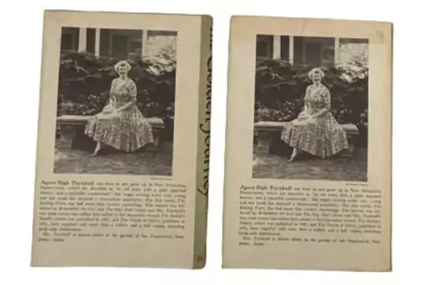 Lot of 2 The Golden Journey by Agnes Sligh Turnbull Hardcover Books 1955