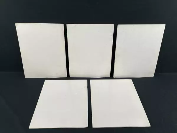 Lot of 5 Great Americans At a Glance Books Pacific Coast Paperbacks 1955-57