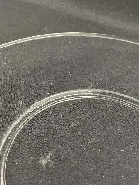 Lot of 2 Vintage Anchor Hocking 8" Presence Clear Glass Luncheon Plates