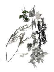 Lot of 10 Silver Floral Picks Poinsettias Leaves Glitter Holiday Decor