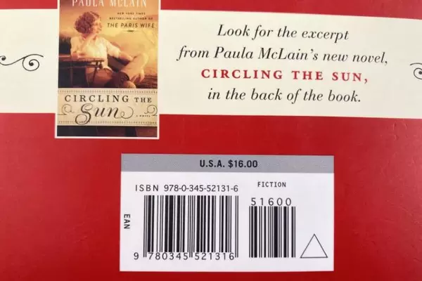 The Paris Wife by Paula McLain Paperback Novel - Good Condition, 1920s Story
