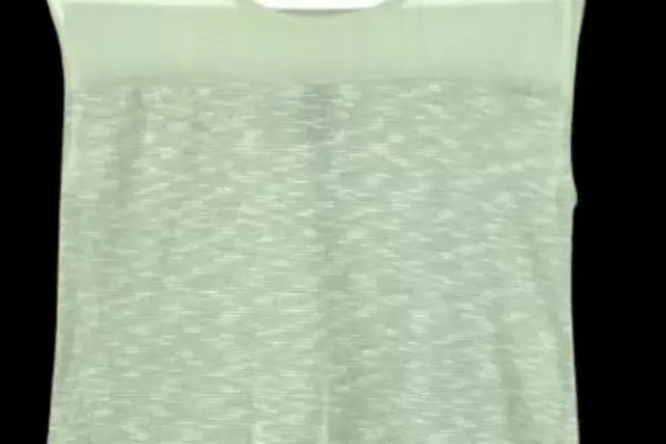 Ann Taylor Mint Green Sleeveless Blouse Top Women's XS Chiffon Accent