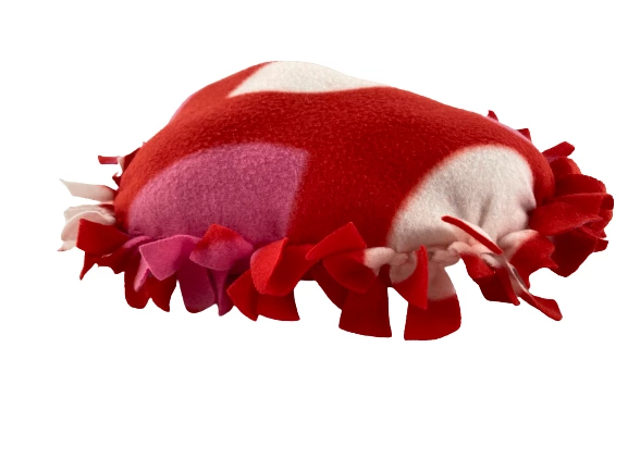 Lot of 2 Valentine's Decor Pink Heart Pillow & "Always You" Plaque