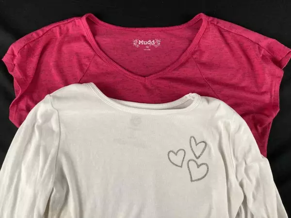 Lot of 2 Girl's Size 16 Tops - Mudd & Today Girl School Outfit